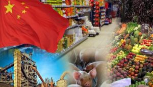 Tổng quan thị trường hàng Trung Quốc cho phép nhập khẩu vào Việt Nam