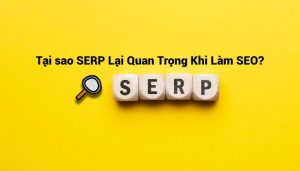 Tại sao SERP Lại Quan Trọng Khi Làm SEO?