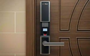 Cửa gỗ công nghiệp