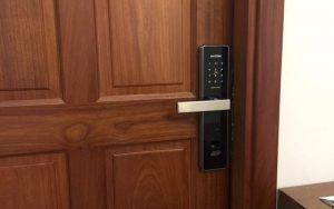 Cửa gỗ tự nhiên